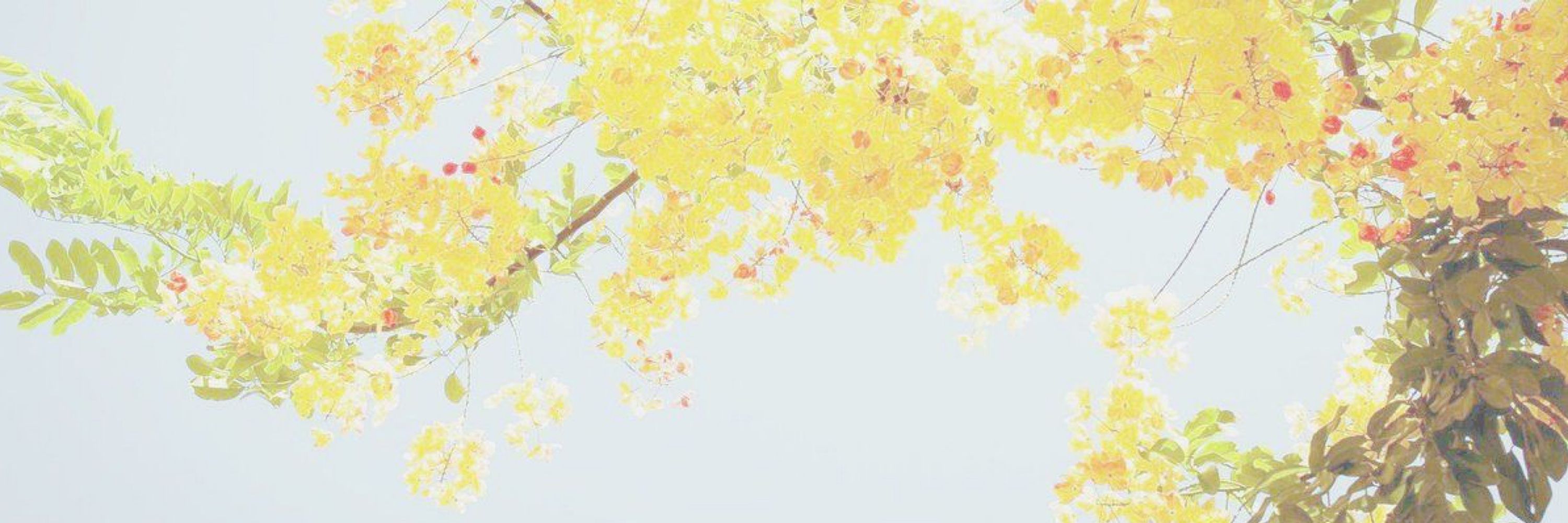 ♡︎ 𝐀𝐅𝐅𝐎𝐆𝐀𝐓𝐎 ♡︎