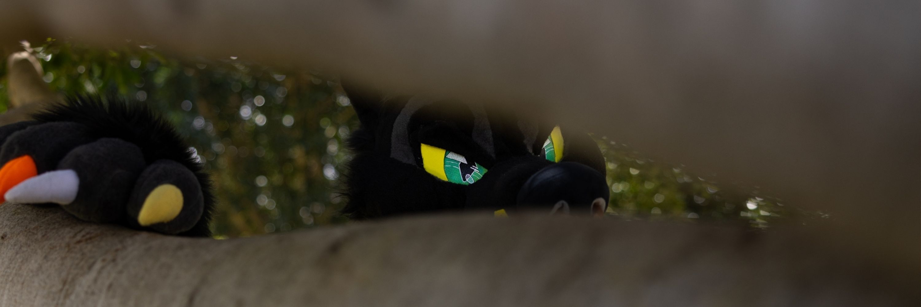 Maned_Josh