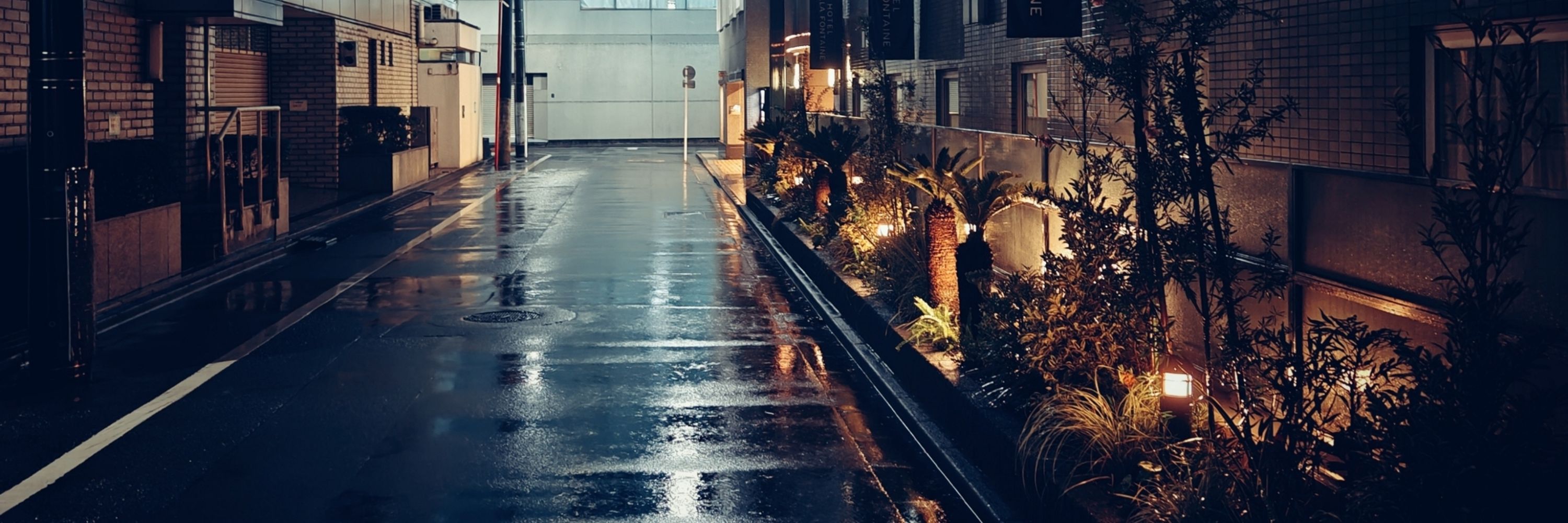 Sebi セビ 塞比 세비