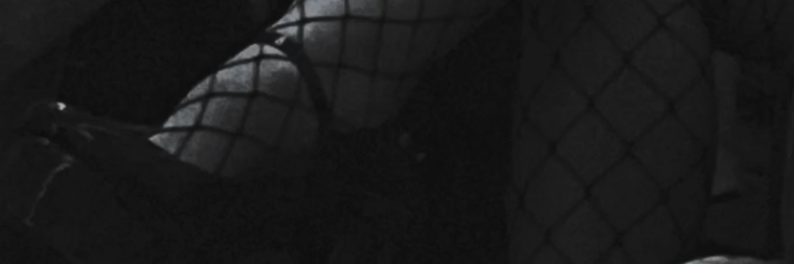 🦇Goddess Eve🦇 | Findom
