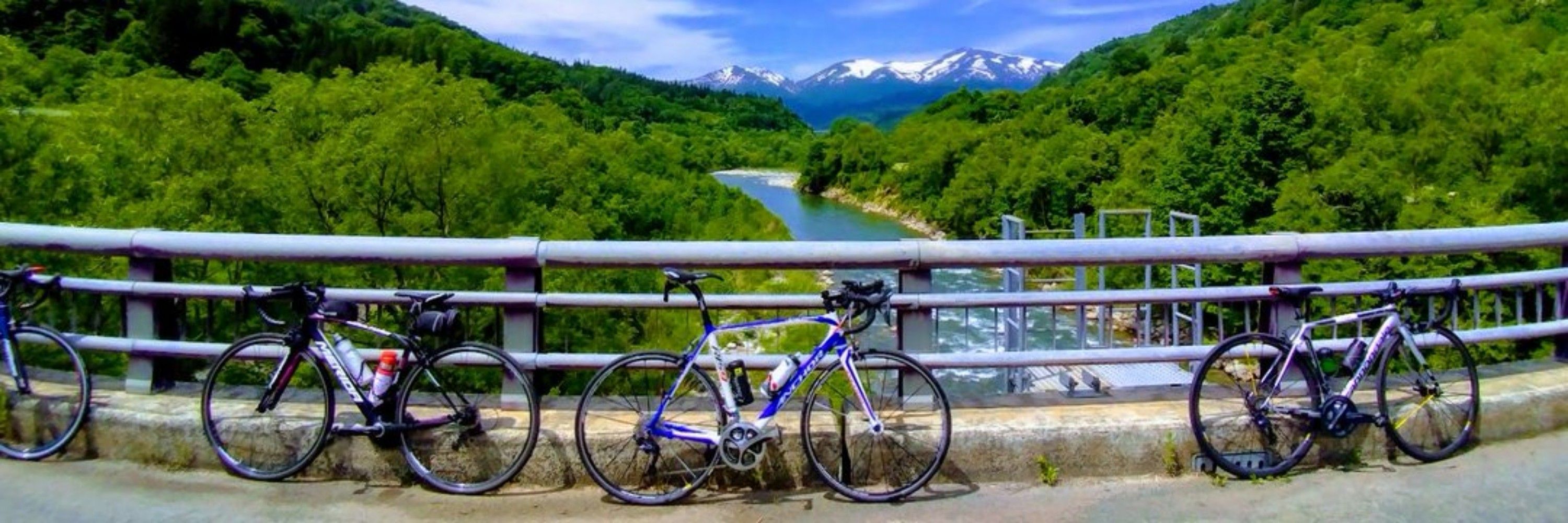 つくね父＠🍶🍰🚴‍♂️🎮🎣