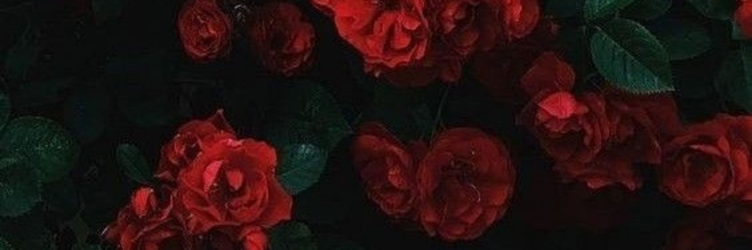 Freya 🥀