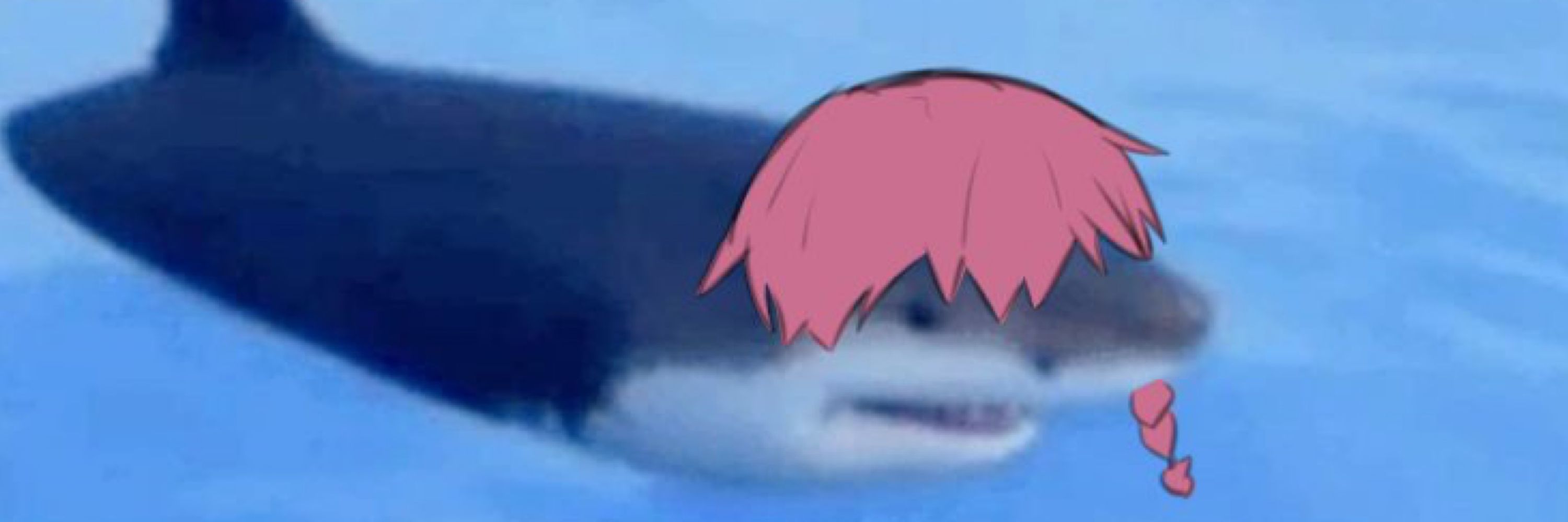 Koi | Ko