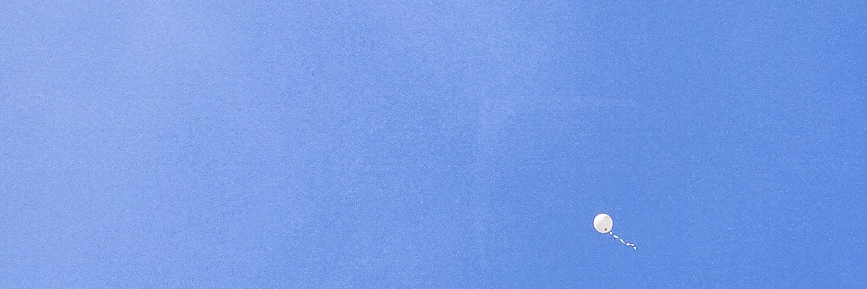 백삼