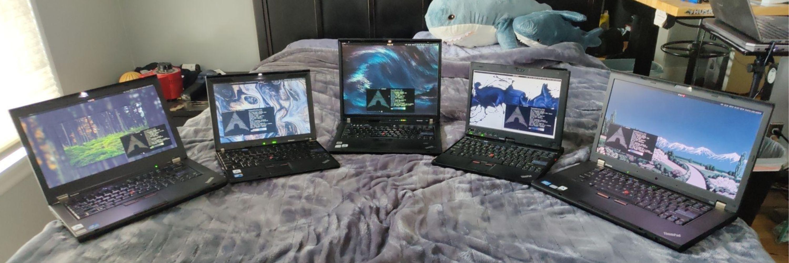 Brandon T. Nguyen :v_bi: