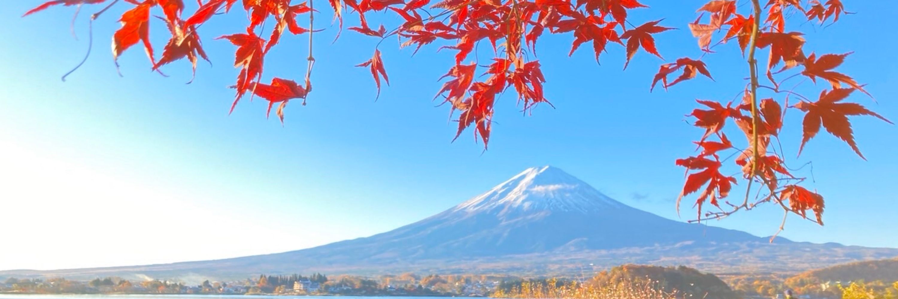 あおい