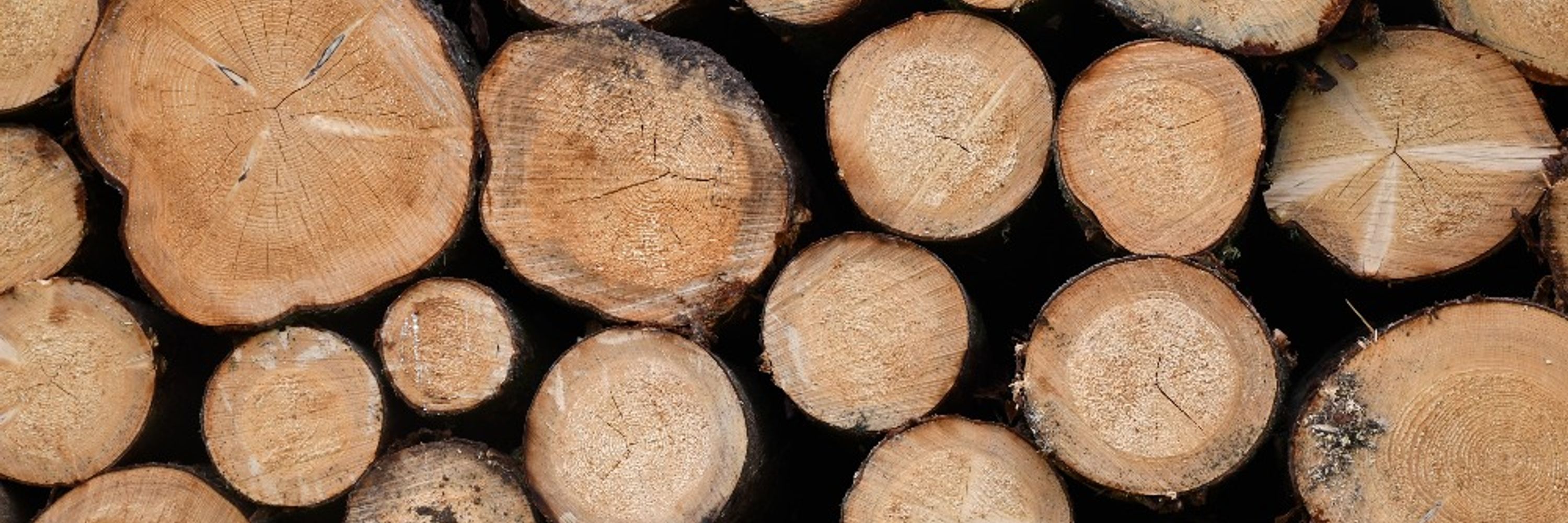 Apache Log4j (Logging Services)