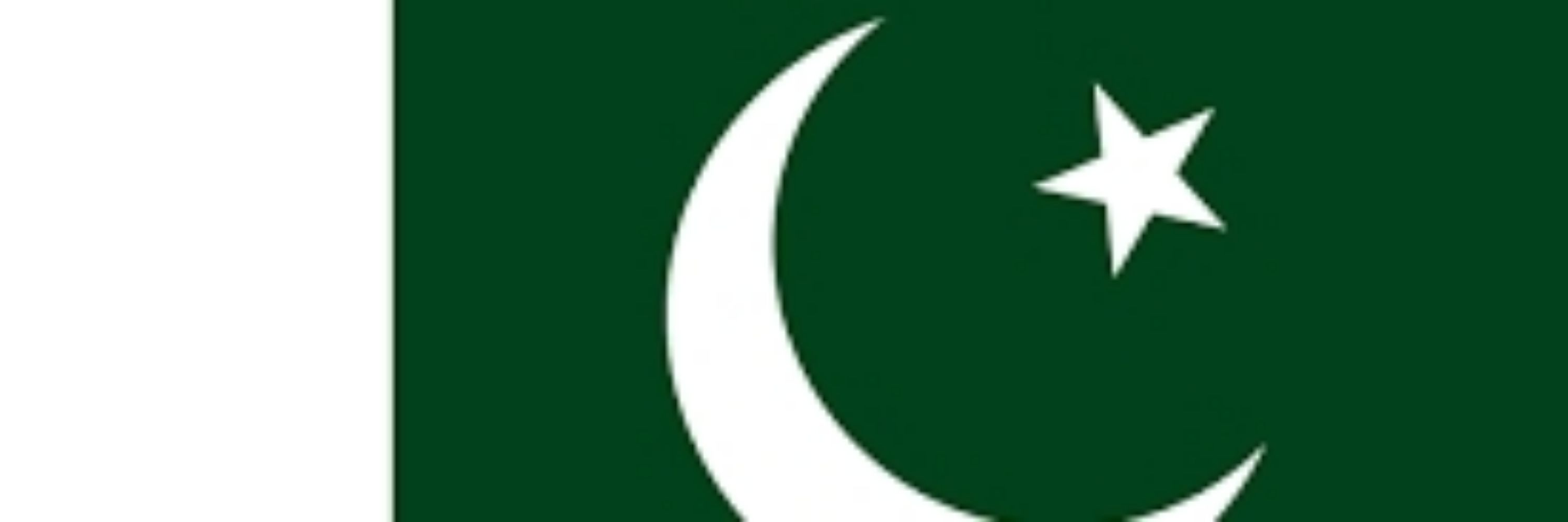 Mutasim Ansari