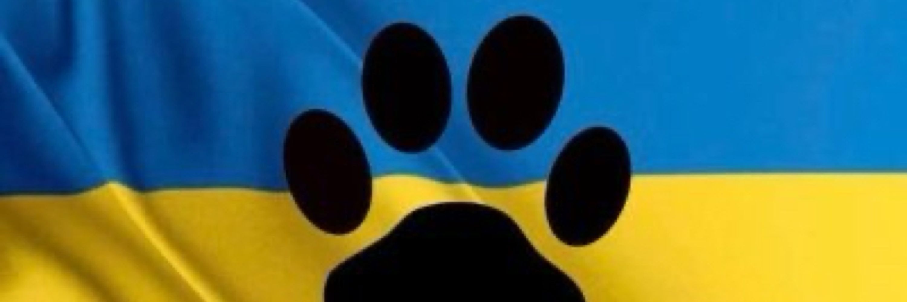 Sisu0916🇺🇸🇺🇦🇮🇱🐱🐶
