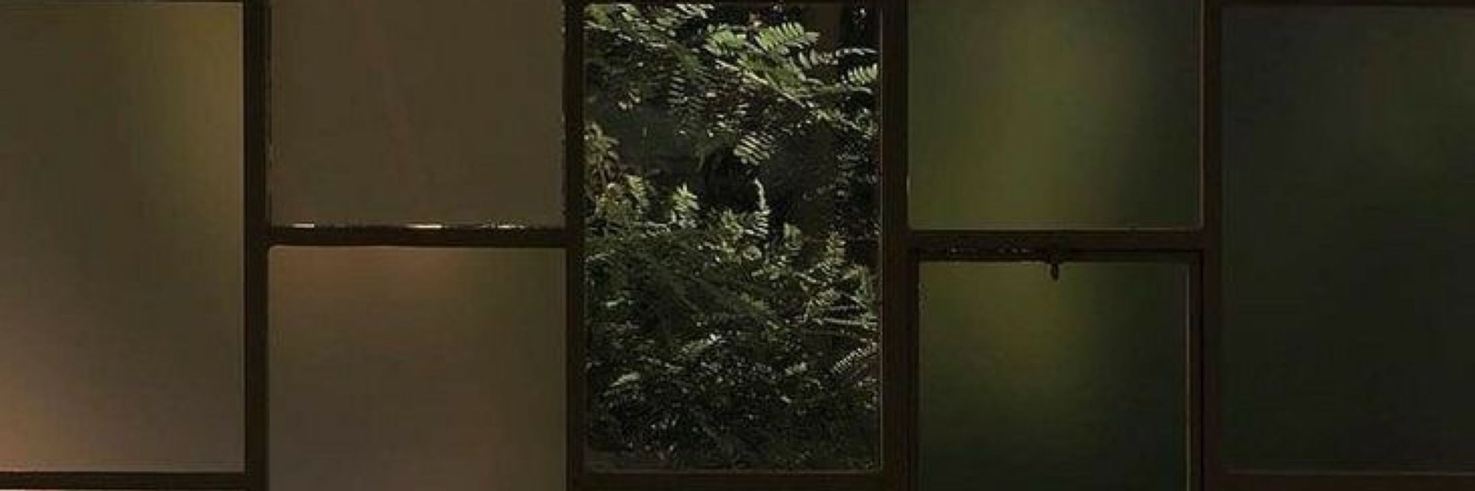 柳月 • 𝒀𝒖𝒆
