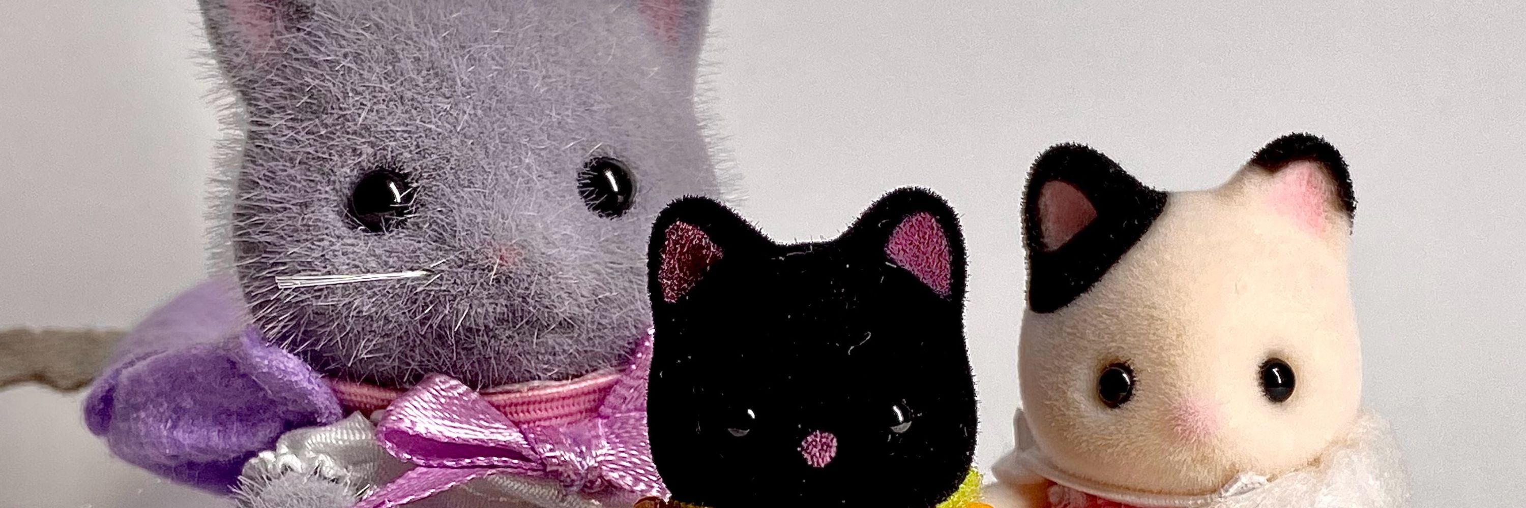 ちや