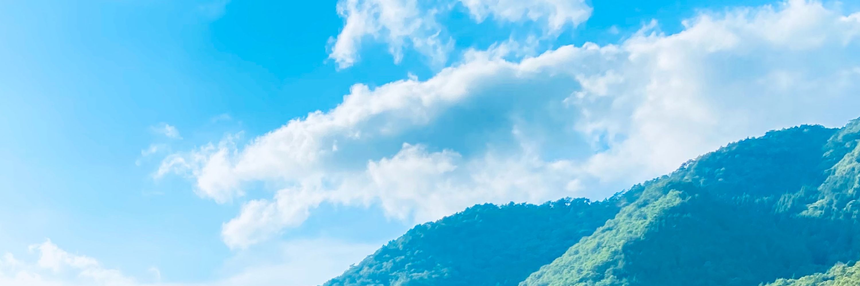 なぎ