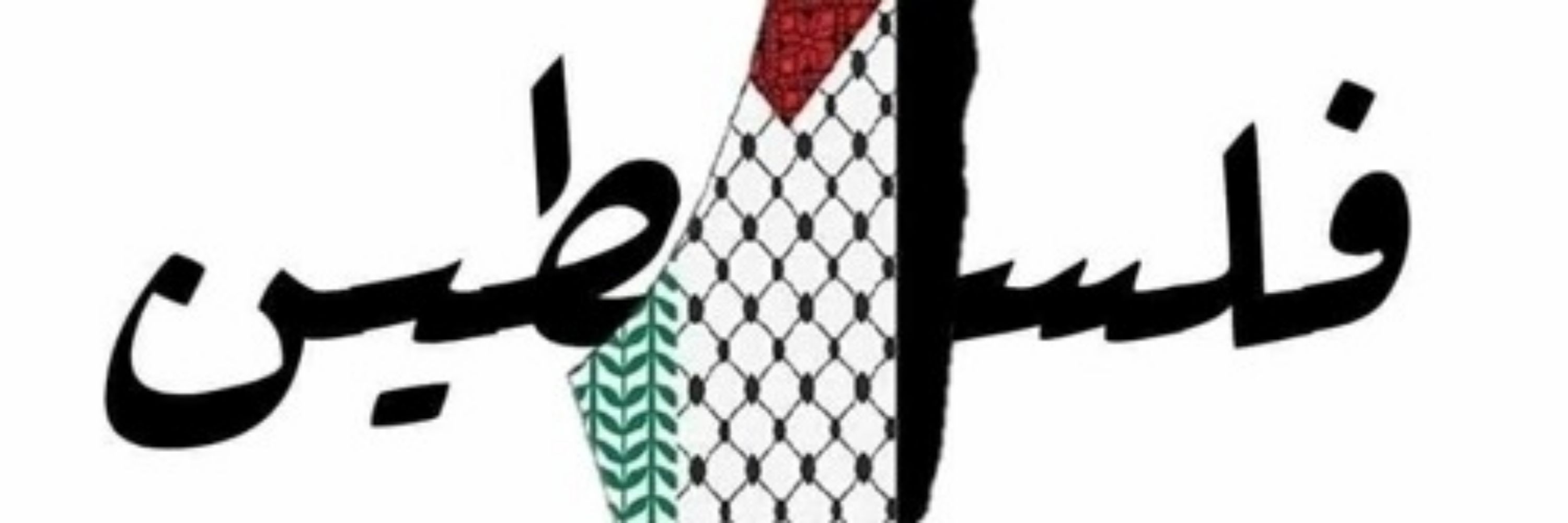 🇵🇸 Aԃɳαɳ 🇵🇸🍉
