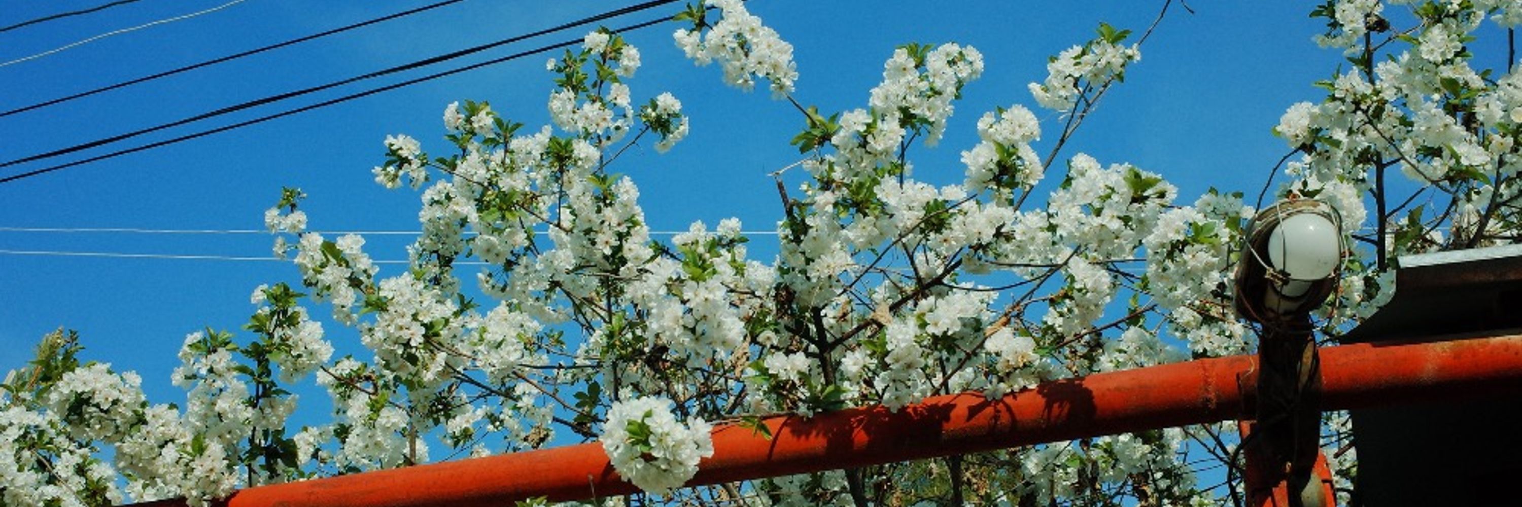 scat ruusia видио Yan Matusevich (@ymatusik.bsky.social) — Bluesky