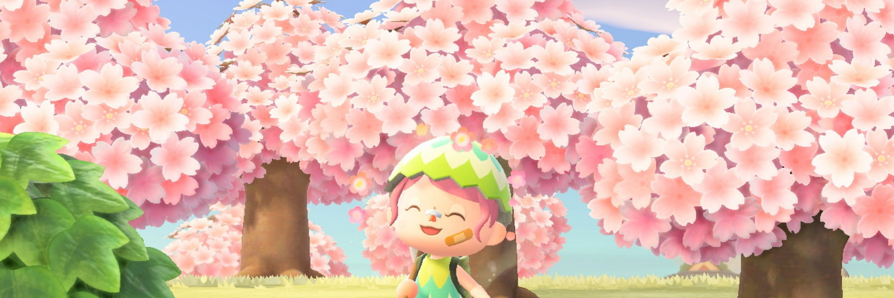 mayo