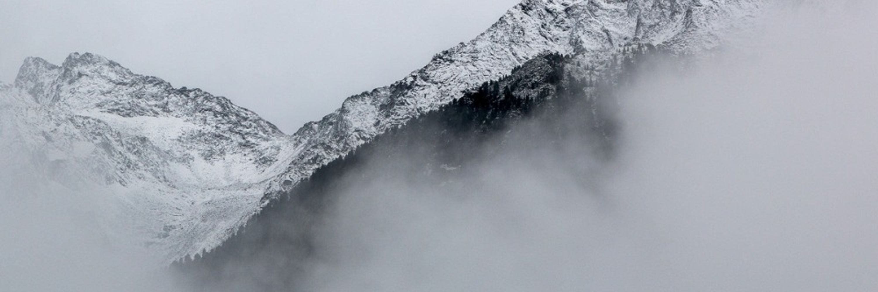 Himalayas Monk