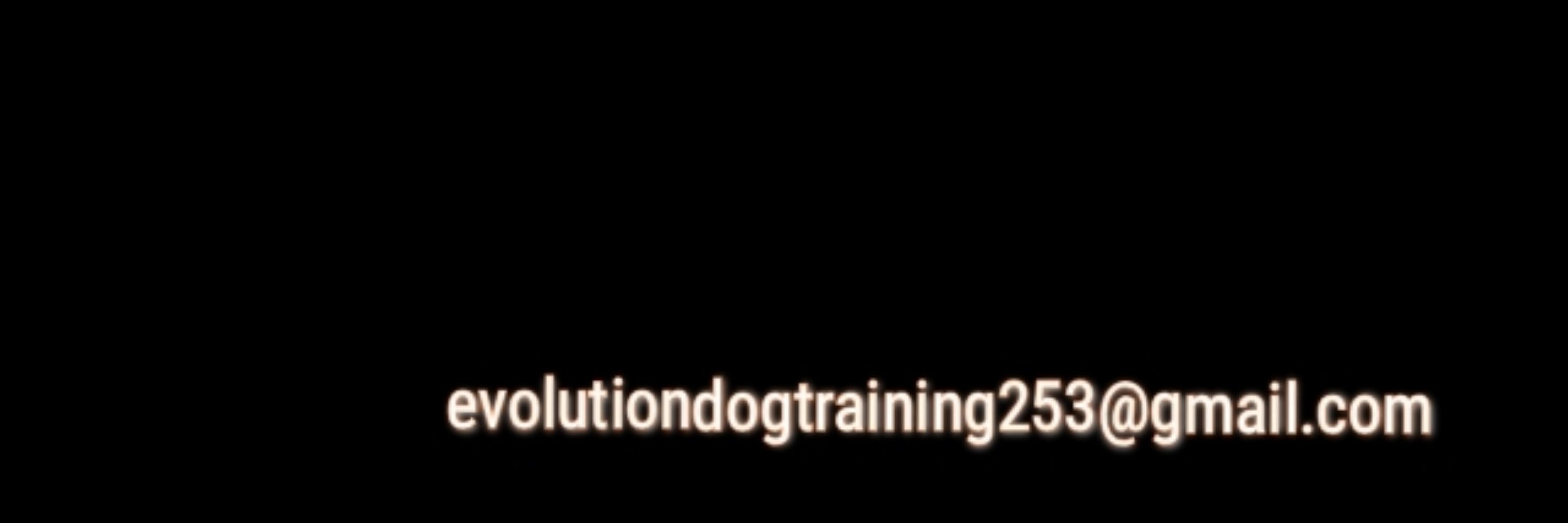Evolution Dog Training