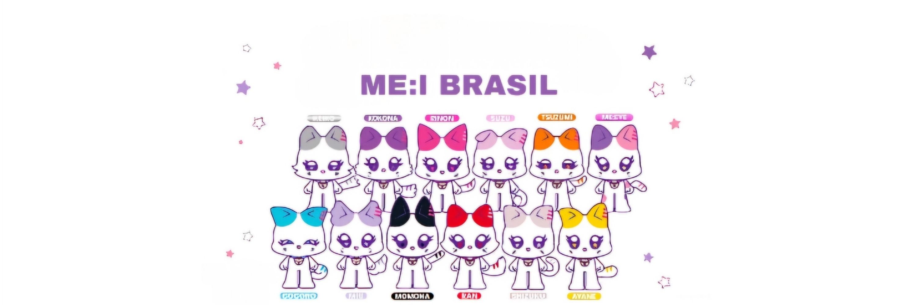 ME:I Brasil