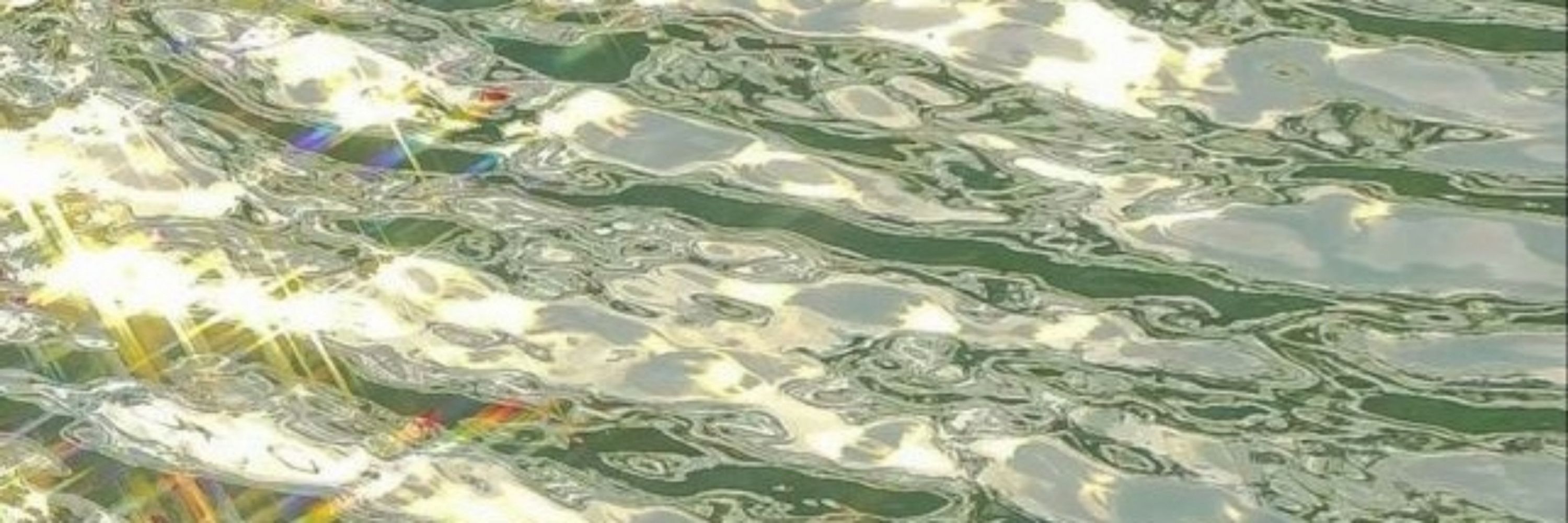 서오 曙烏