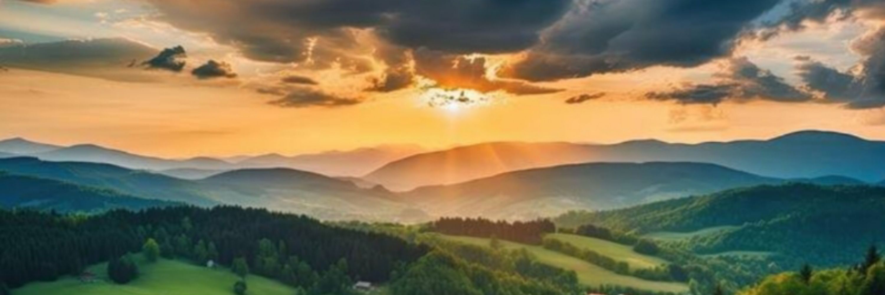 Nature Lover