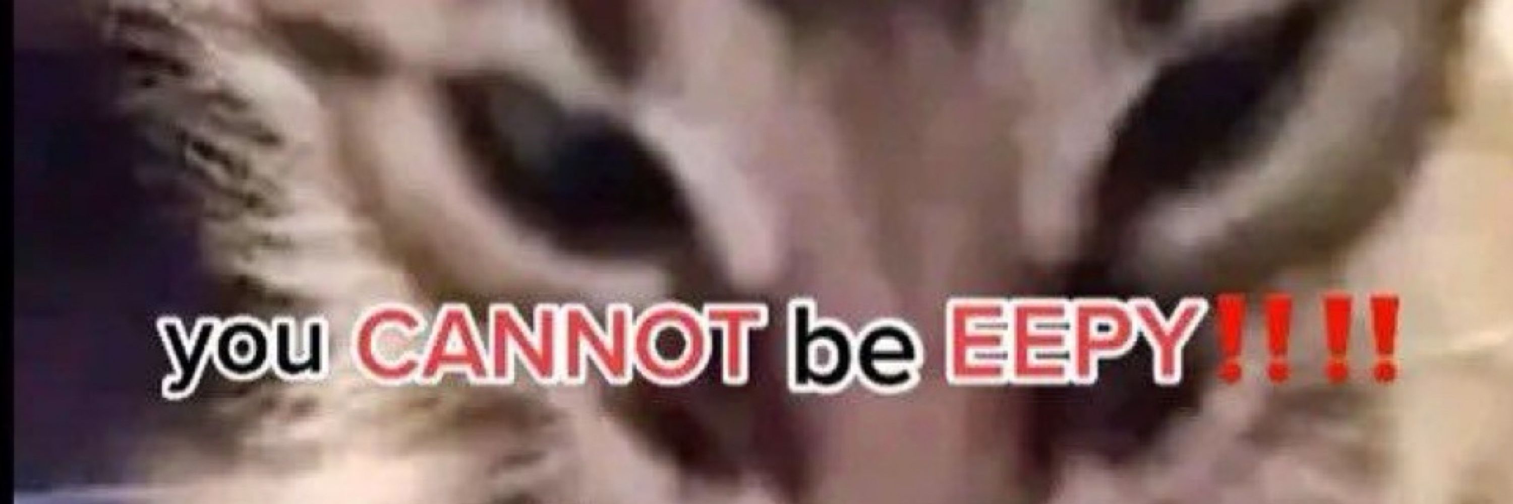 j :3