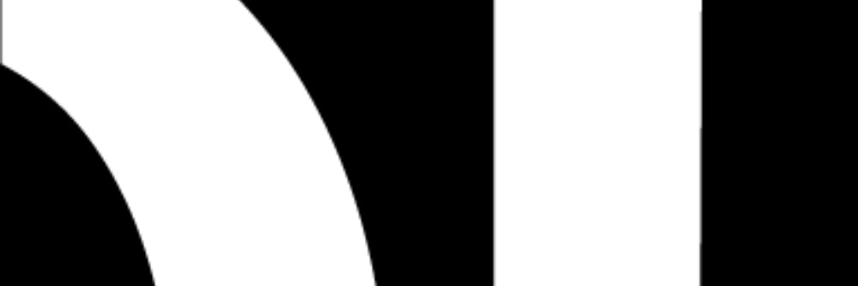 Democracy Reporting International