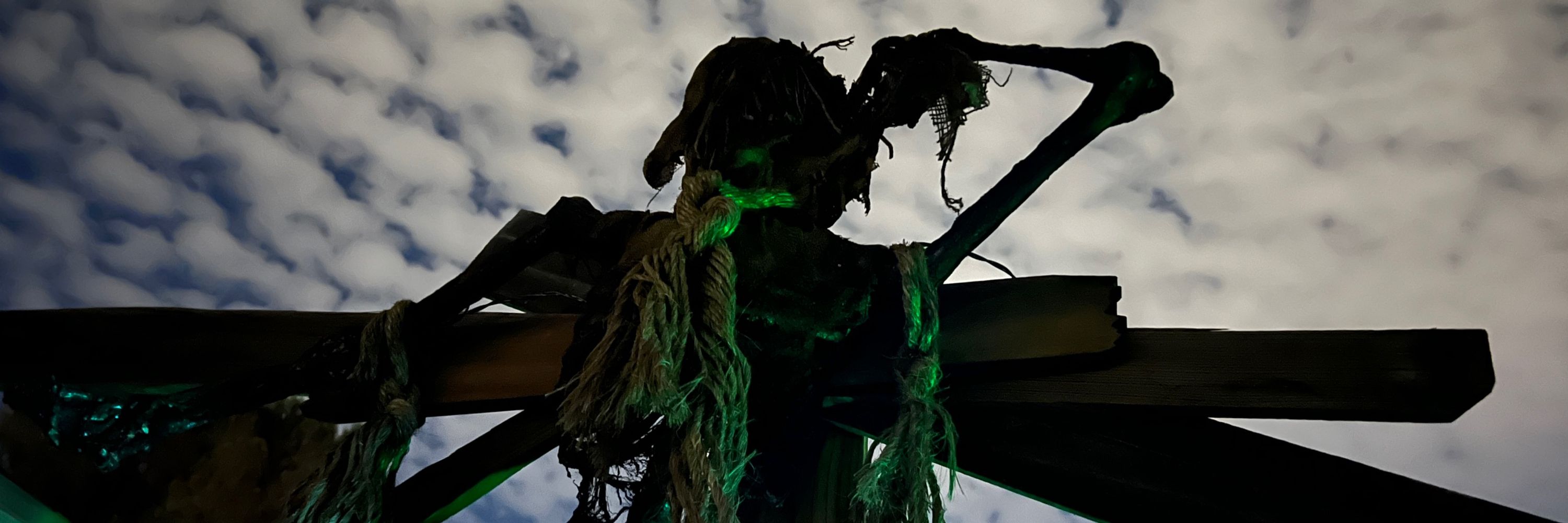 Pirate Monkey Art