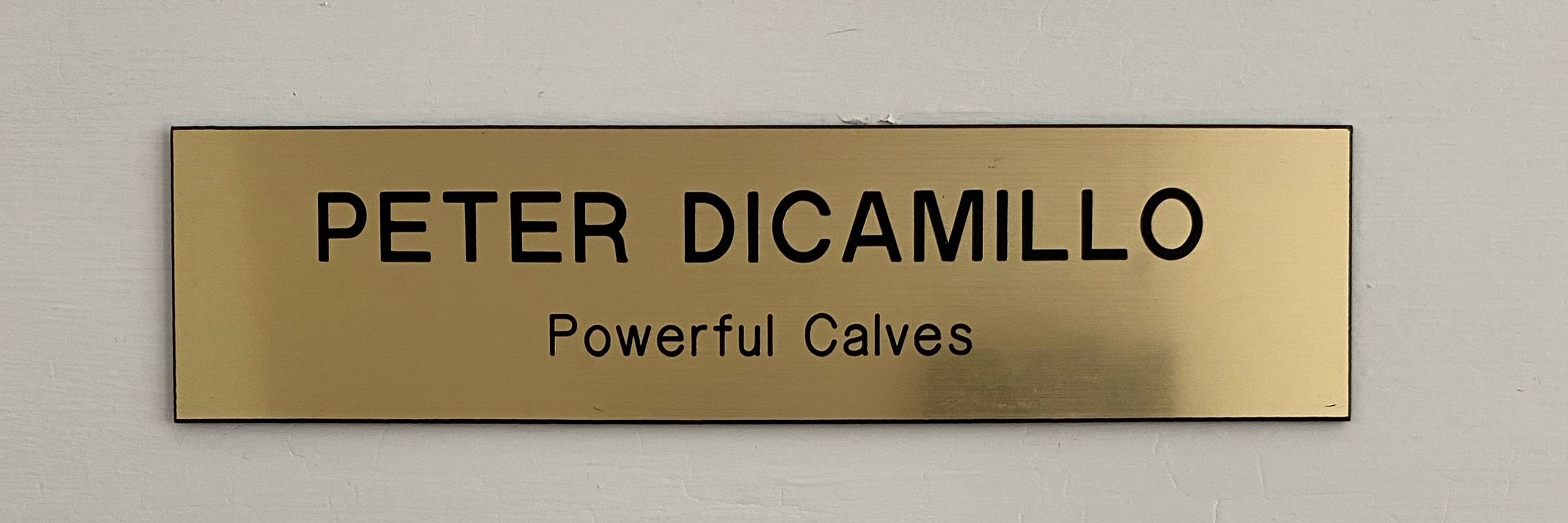 Peter DiCamillo