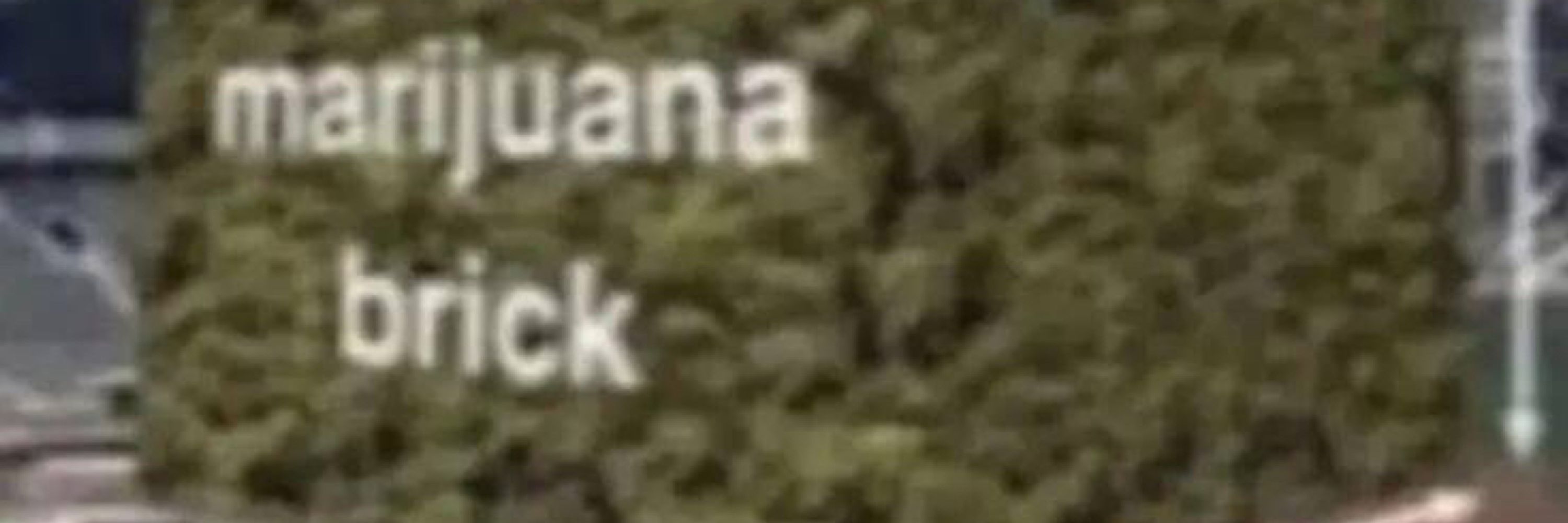 panda ?