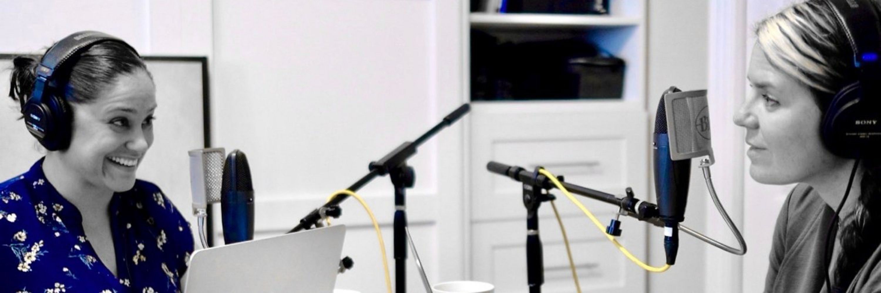 EM Pulse Podcast™
