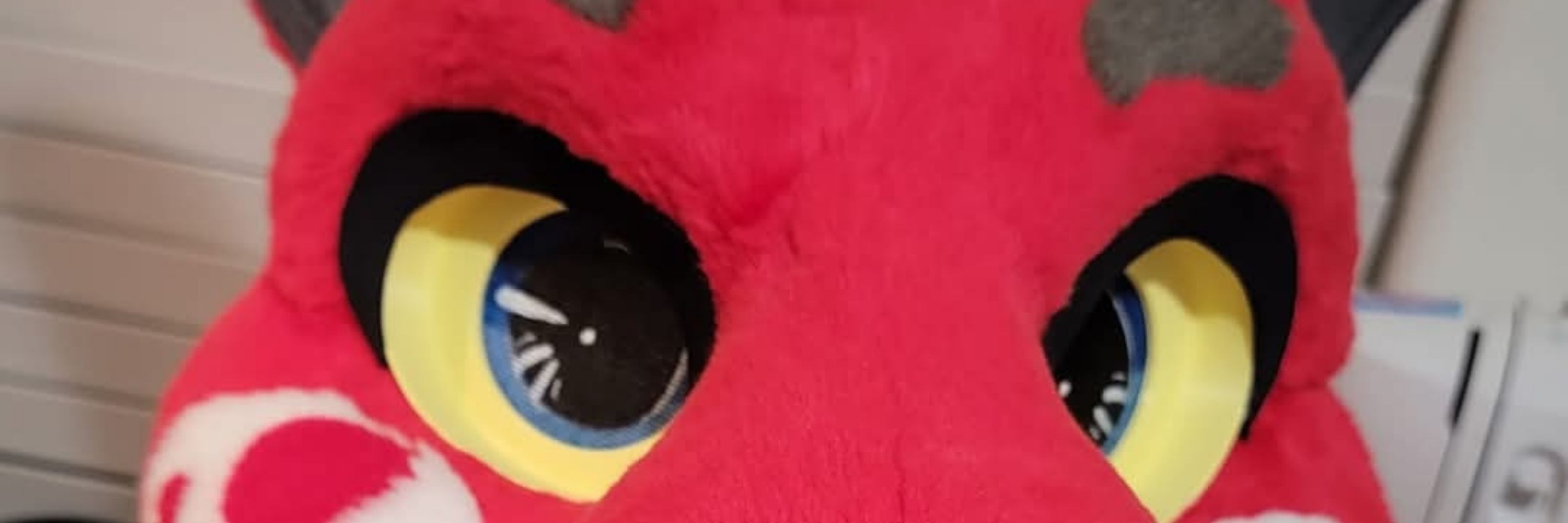 Greer_furry