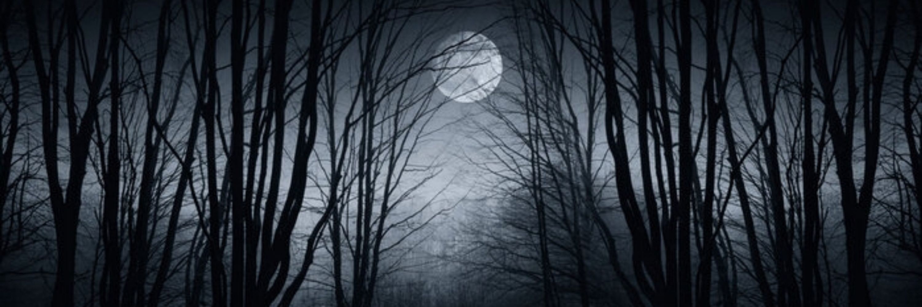 Plain Paranormal