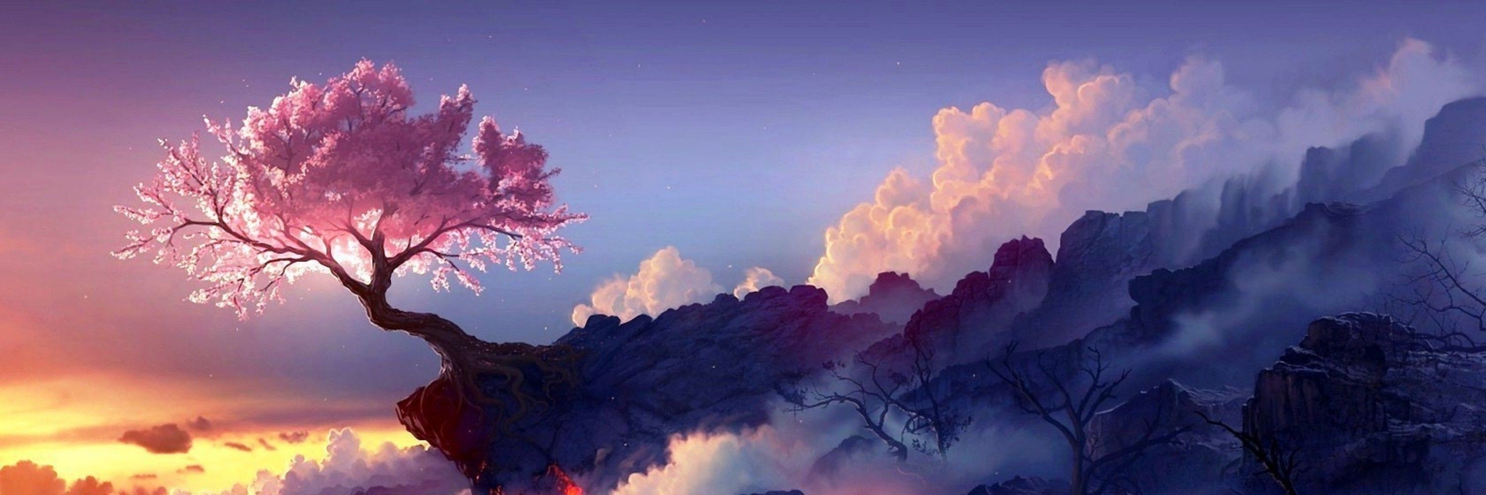 ○°★*°• 𝑻𝒂𝒎𝒂 •°*★°○