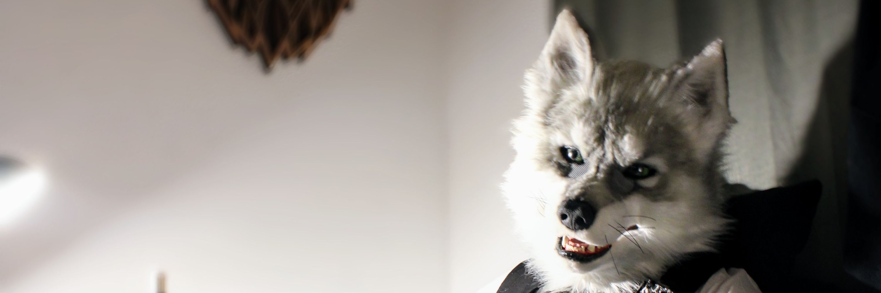 Gado the wolf