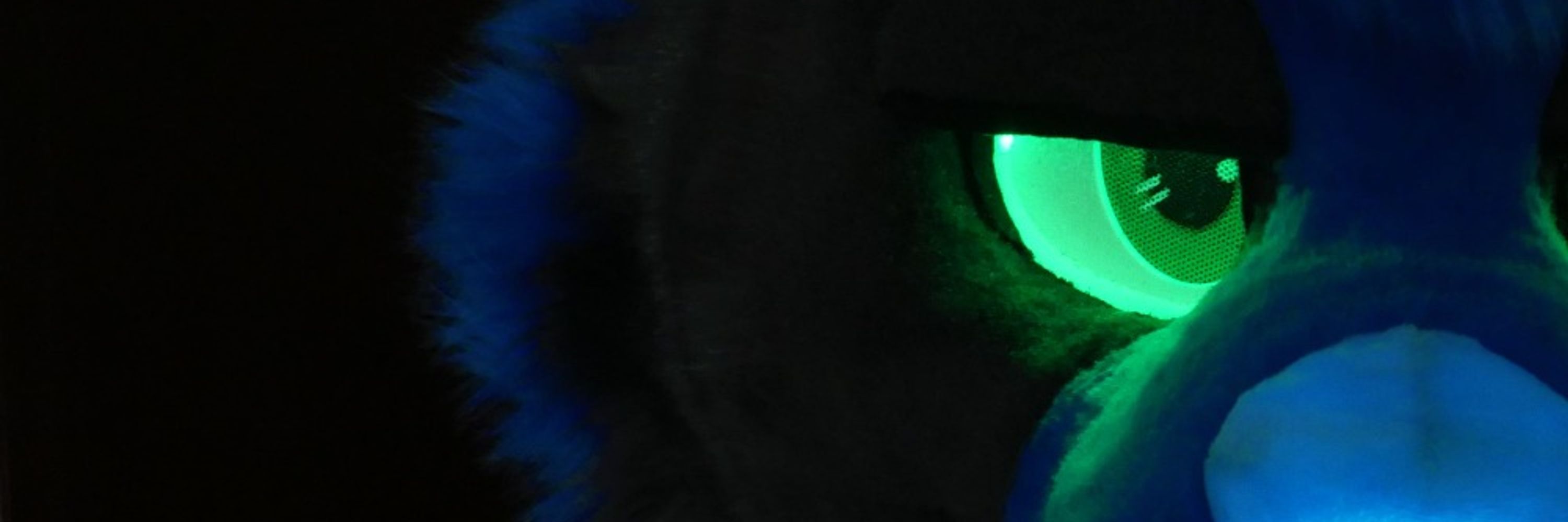 DanTheGlowWolf
