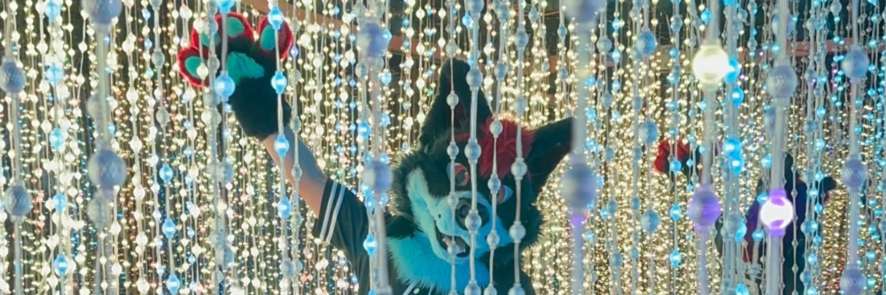 Jai Wolf 🔜 BLFC, MFF