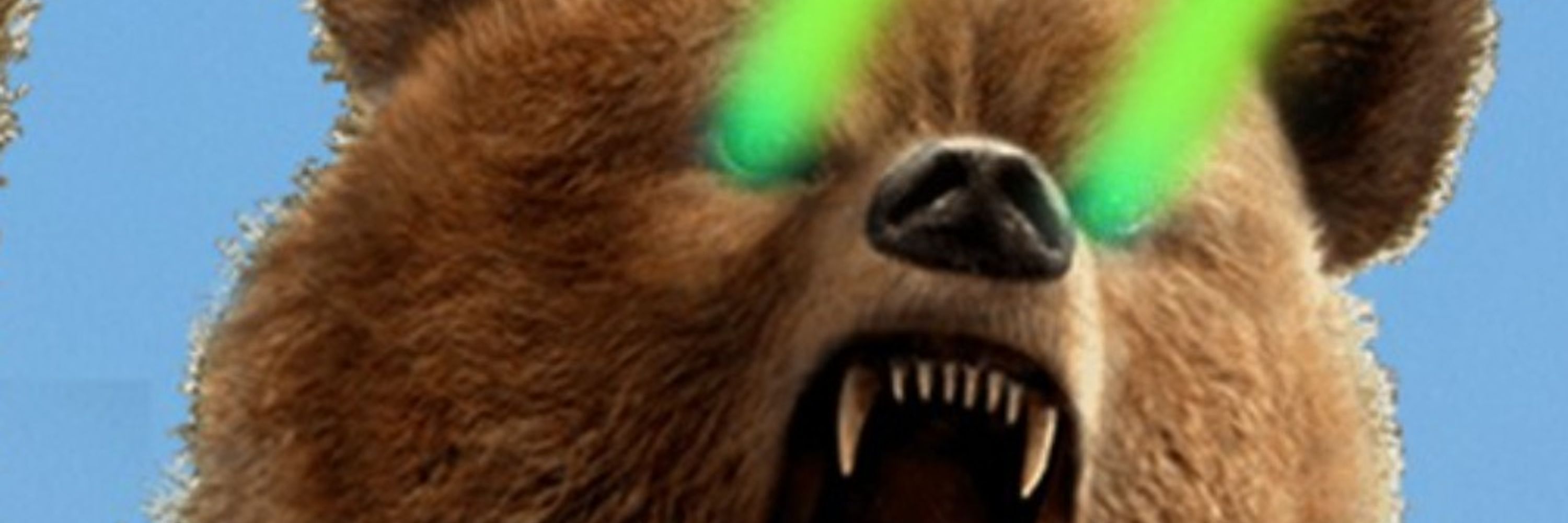 L'ours Martin