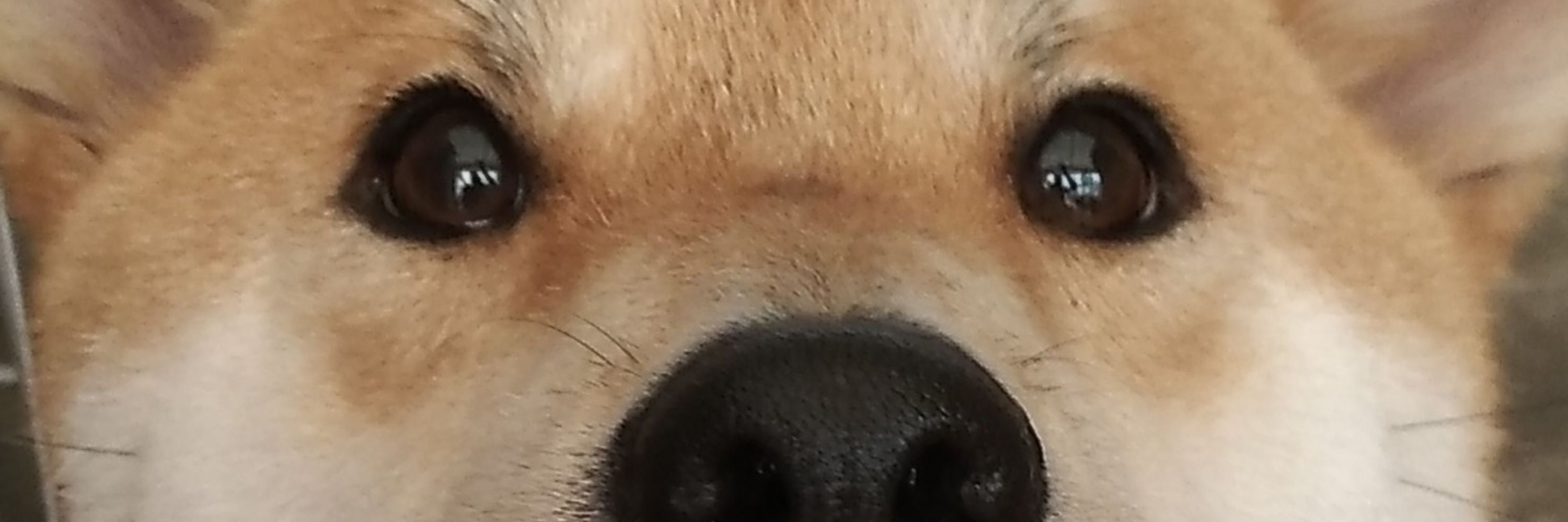 Mu