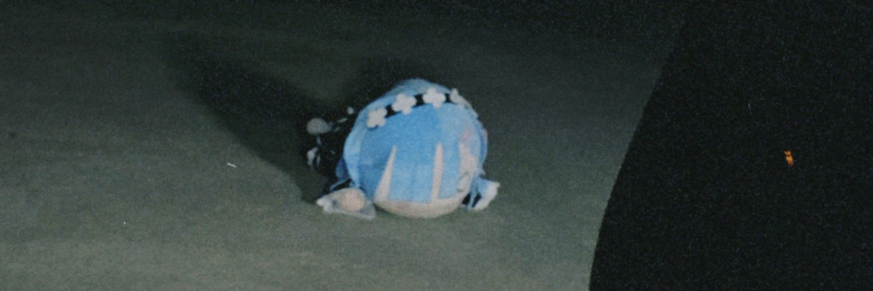 𝗇𝖾𝗌𝗌𝖺