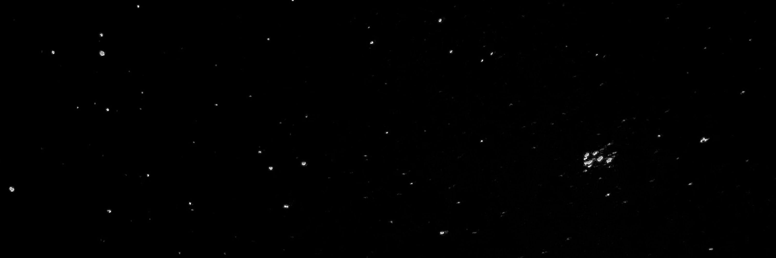 STAR💫