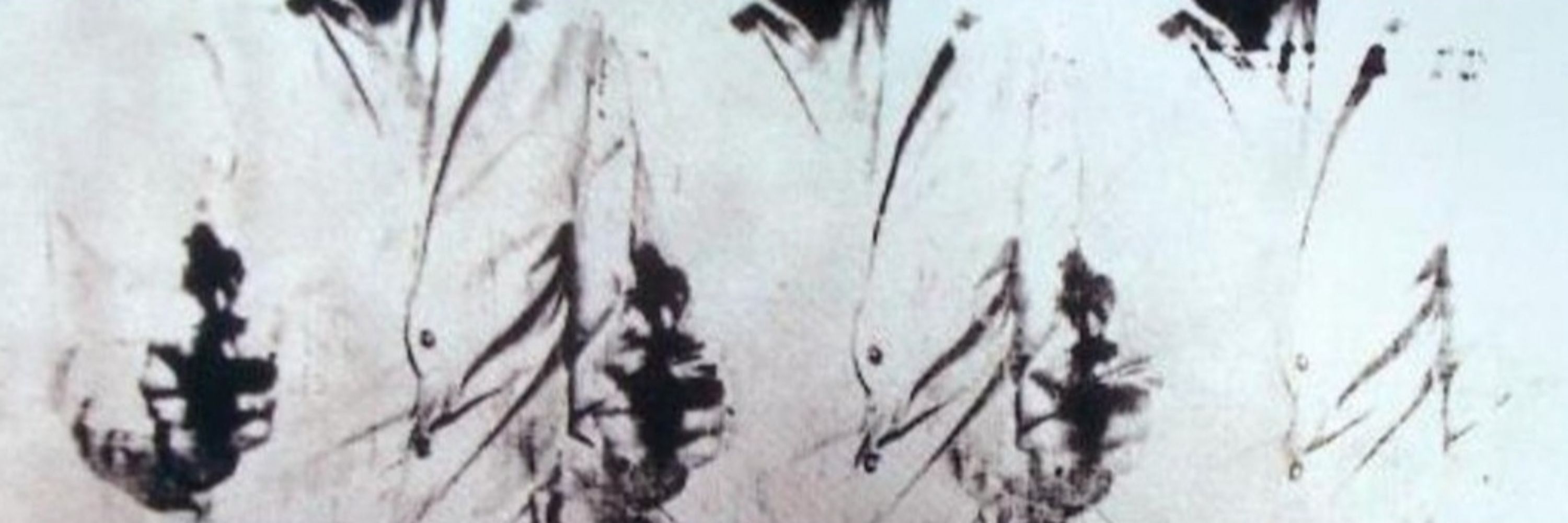 Simon Popek