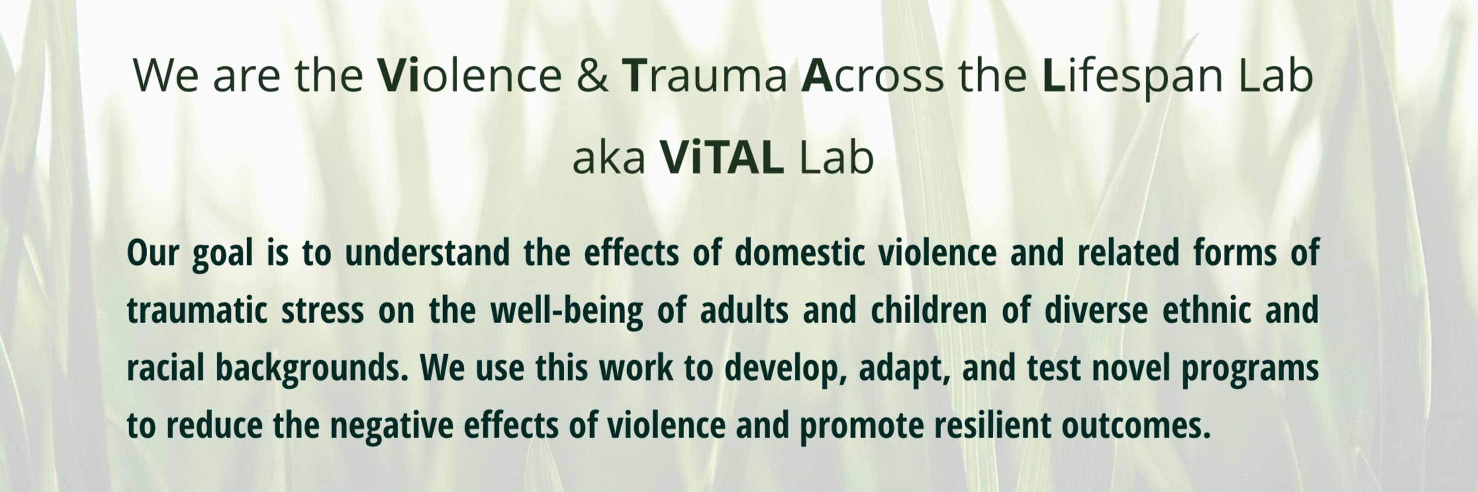 ViTAL Lab