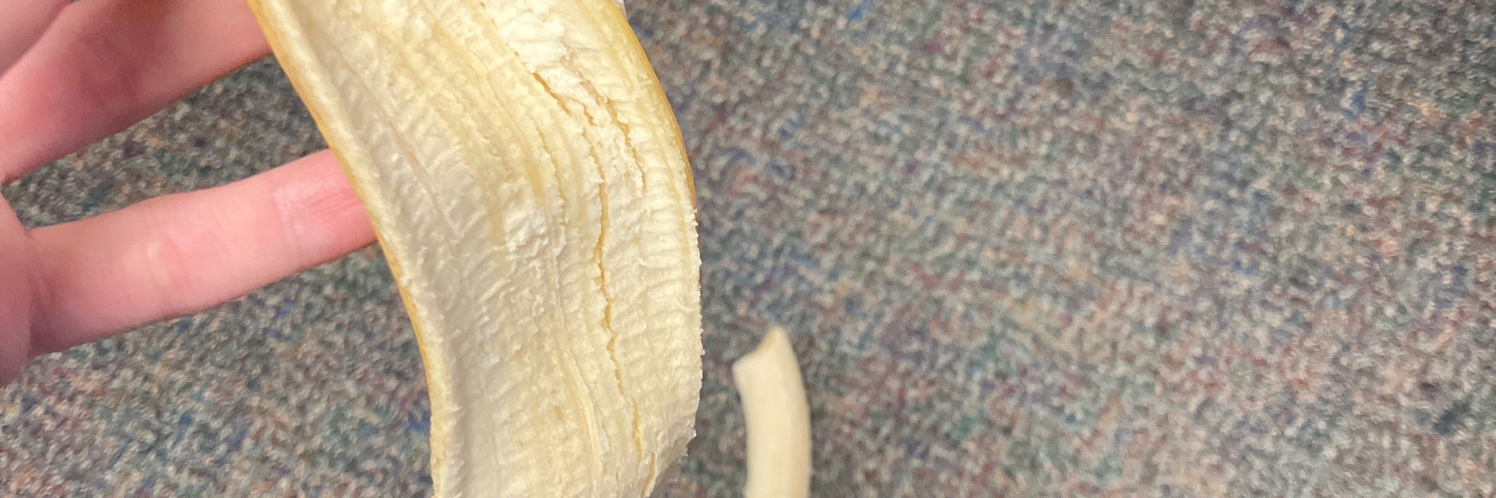 Bloopy