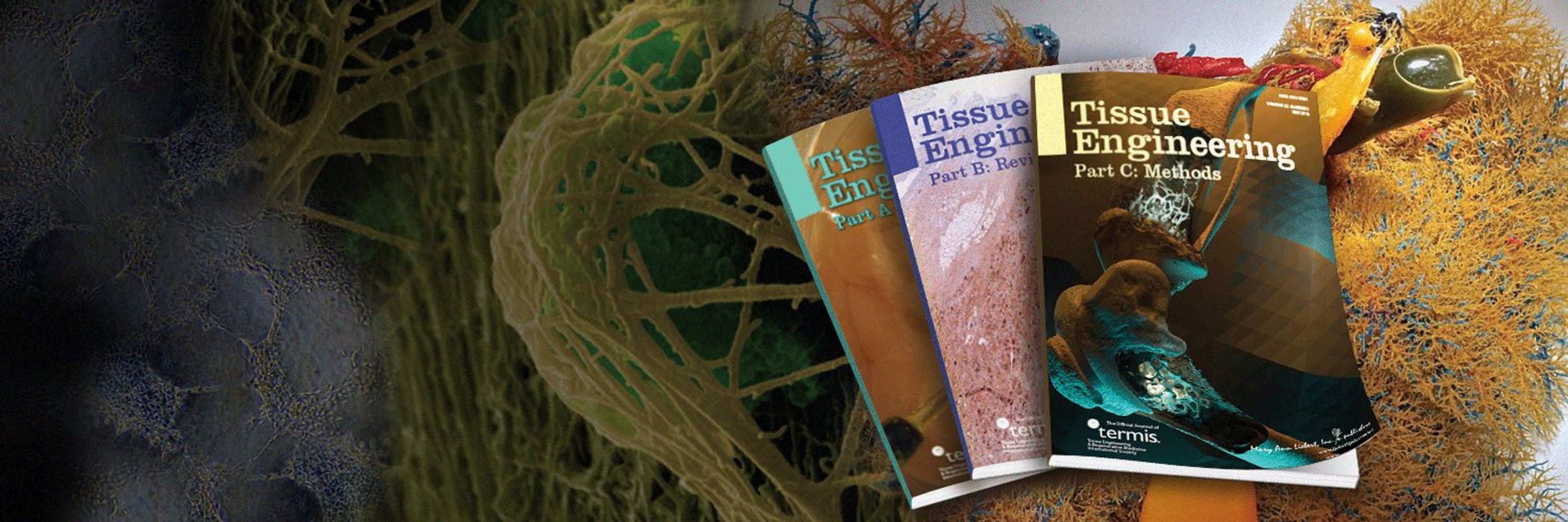 Tissue Engineering, Parts A, B, & C