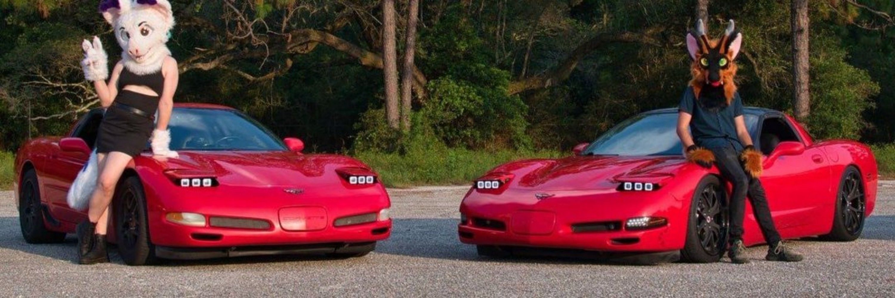 Cressie V