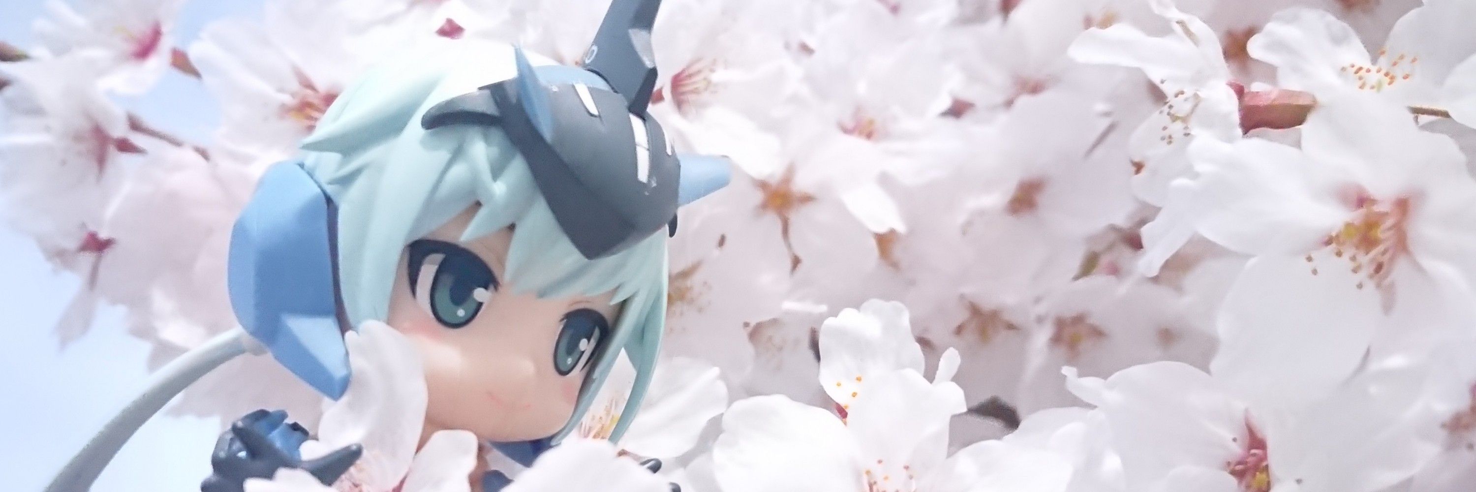 モコさん