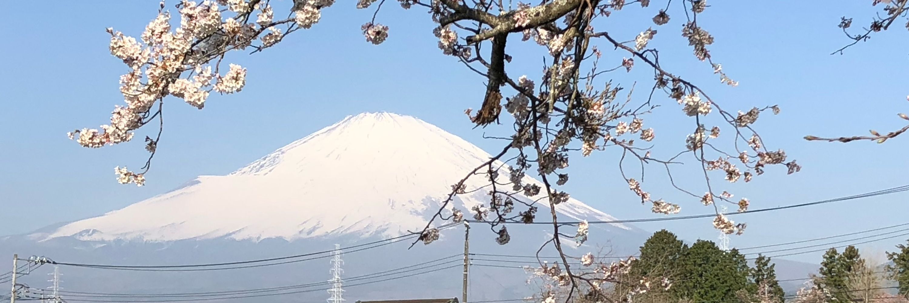 たっちみぃ