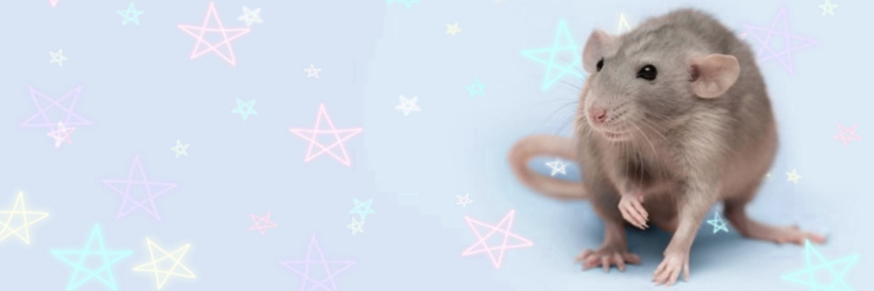 Rat Bastard