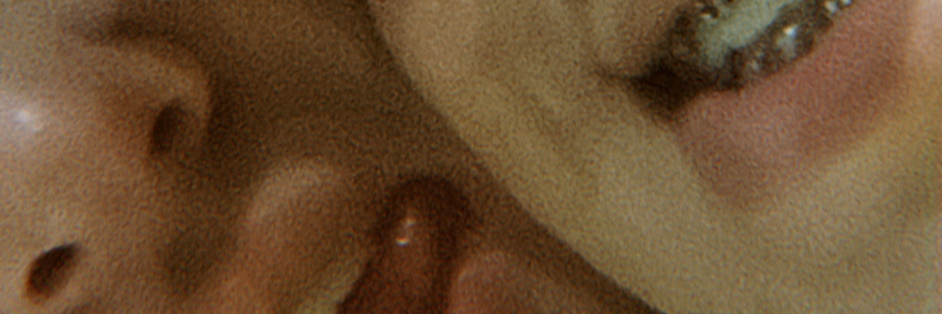 Marcus