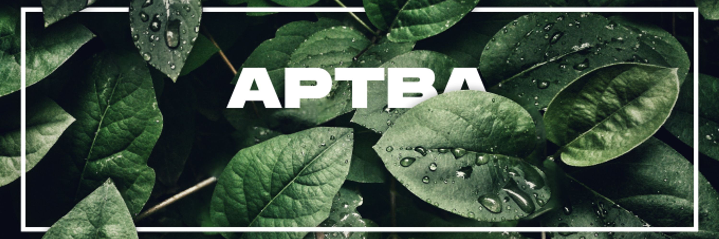 Apteam but AWESOME